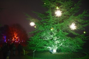 Kew Gardens Christmas 21
