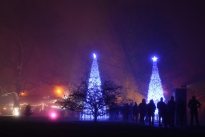 Kew Gardens Christmas 6